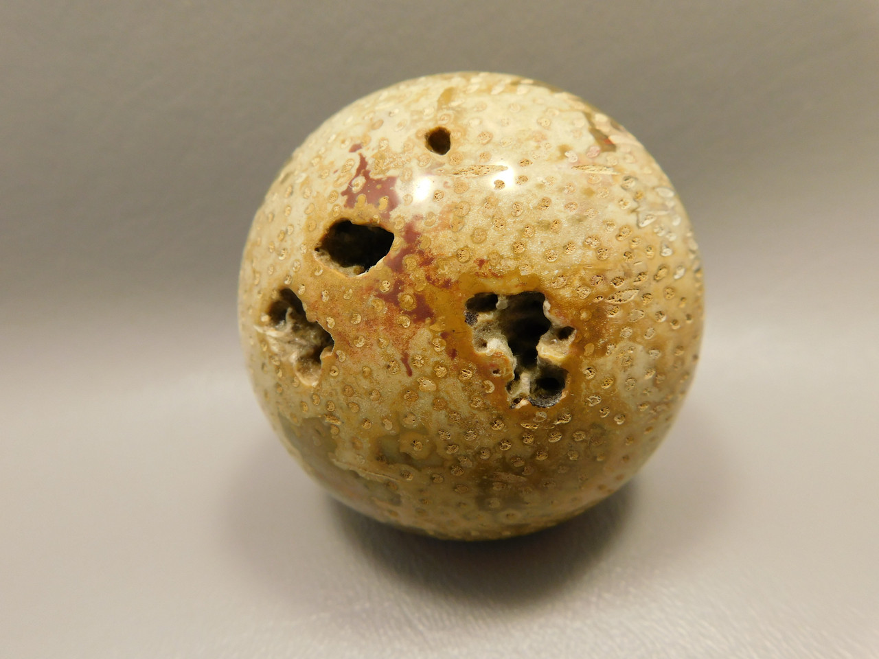 Petrified Palm Wood Sphere 2.4 inch Stone Fossil Indonesia #O26