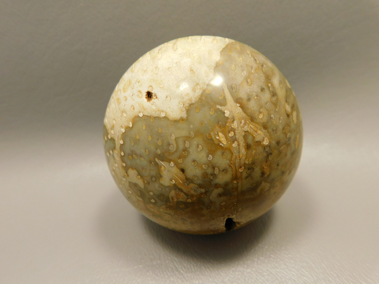 Petrified Palm Wood Sphere 2.4 inch Stone Fossil Indonesia #O26