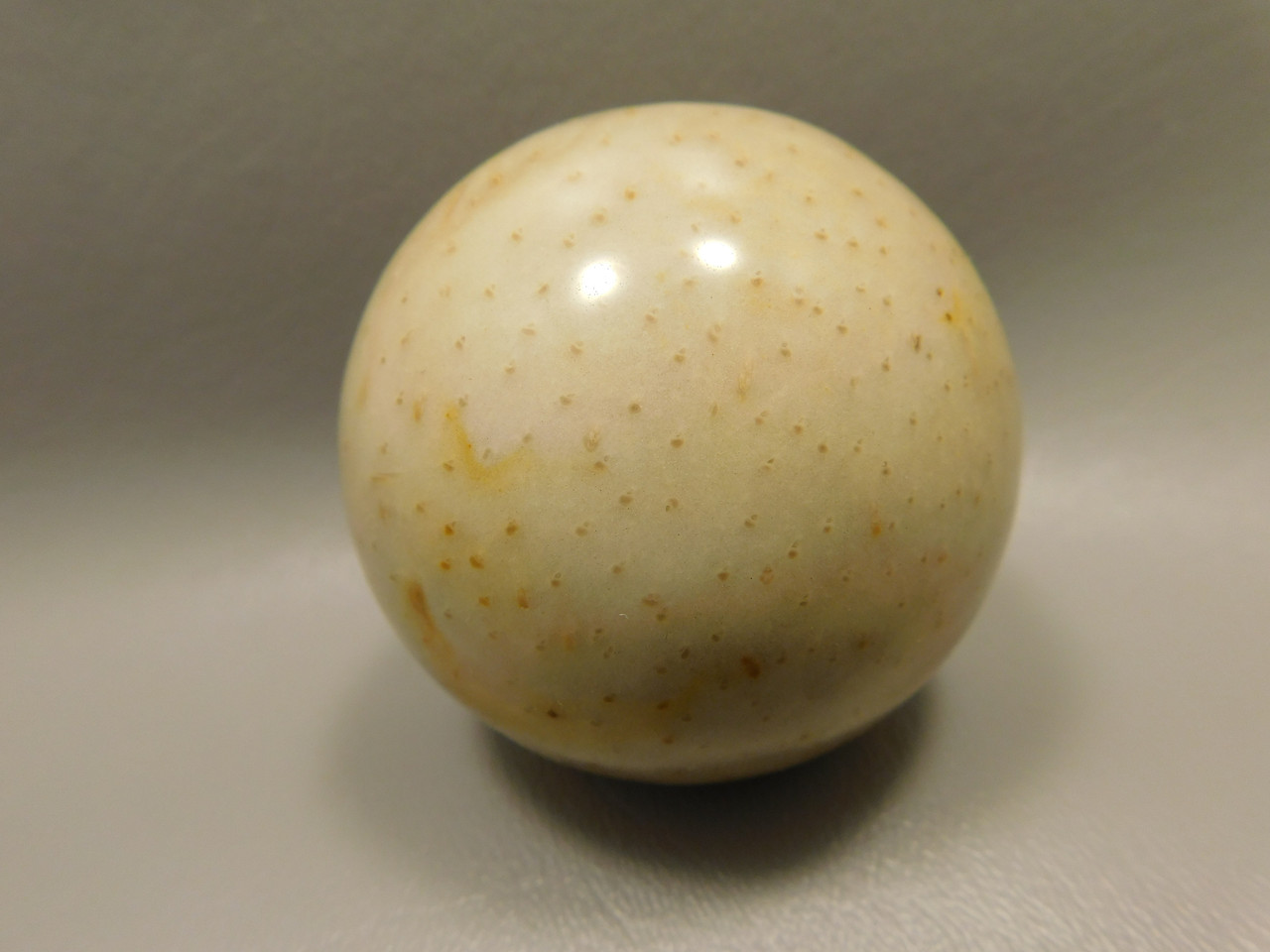 Petrified Palm Wood Sphere 2.4 inch Stone Fossil Louisiana #OLA