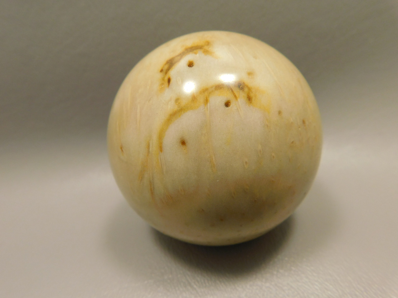 Petrified Palm Wood Sphere 2.4 inch Stone Fossil Louisiana #OLA