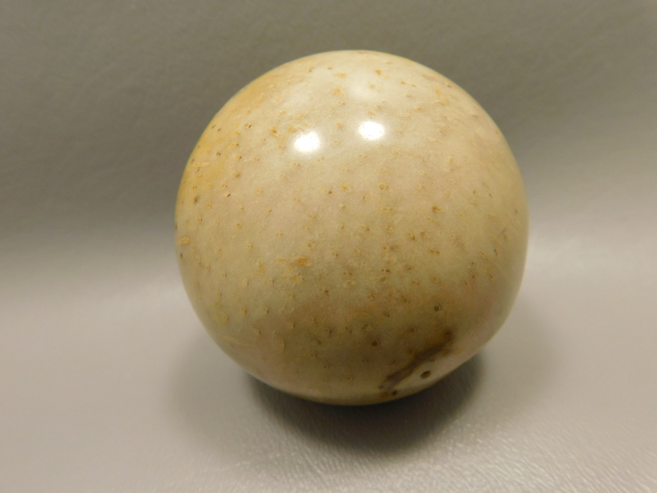 Petrified Palm Wood Sphere 2.4 inch Stone Fossil Louisiana #OLA