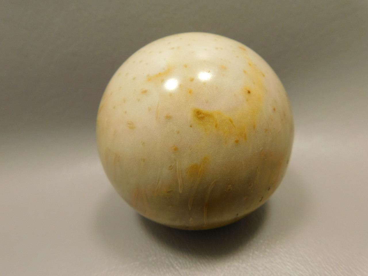 Petrified Palm Wood Sphere 2.4 inch Stone Fossil Louisiana #OLA