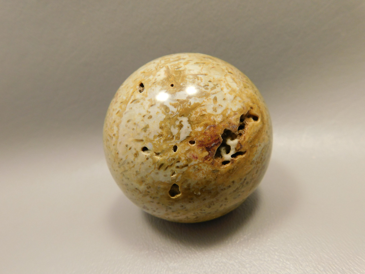 Petrified Palm Wood Sphere 2.2 inch Stone Fossil Indonesia #O28