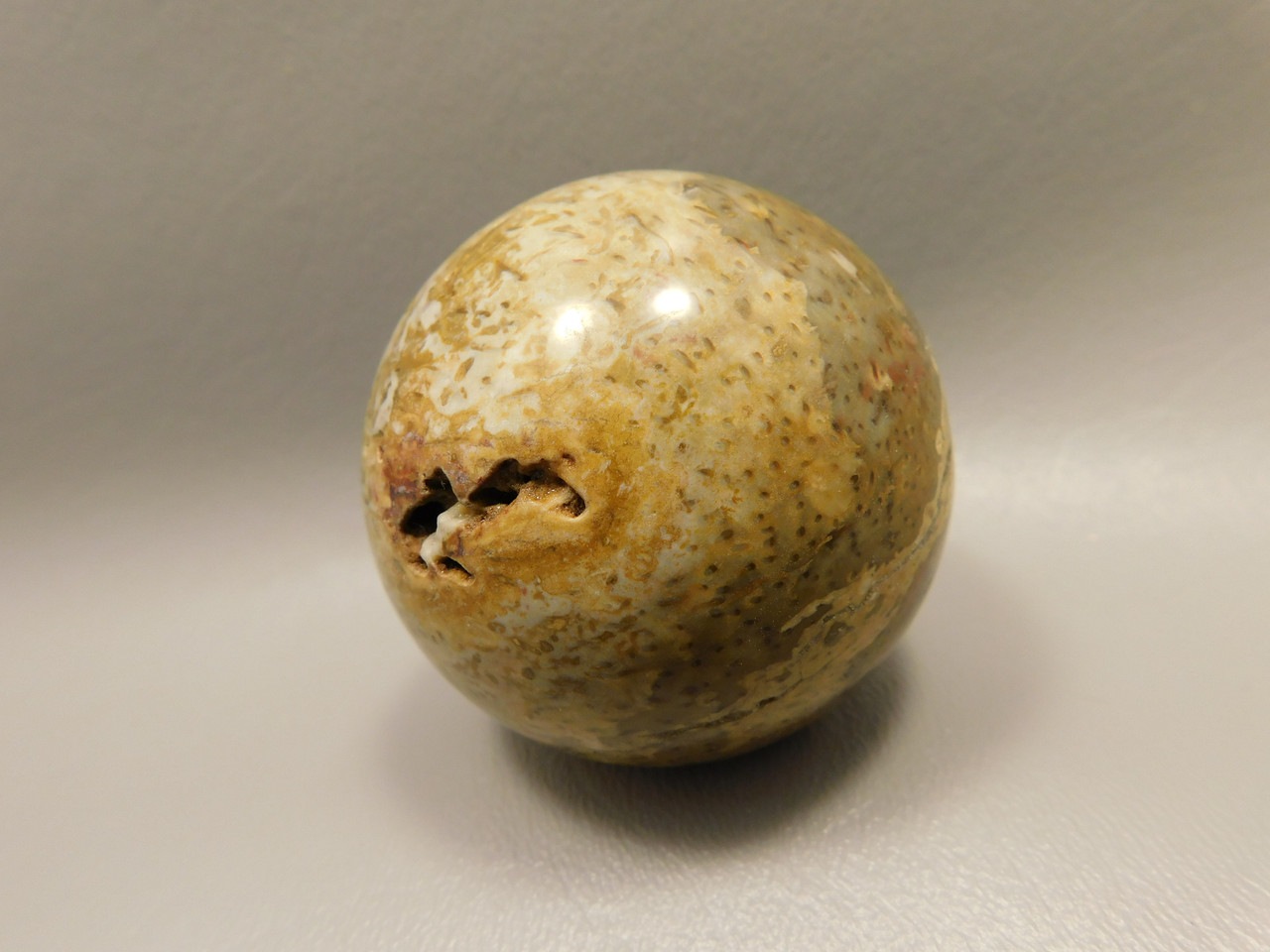 Petrified Palm Wood Sphere 2.2 inch Stone Fossil Indonesia #O28
