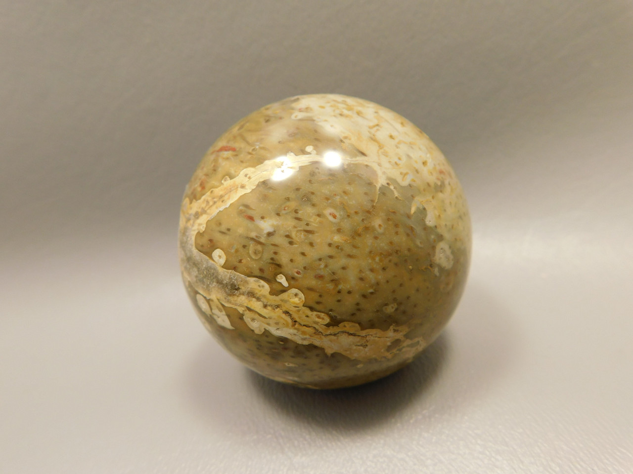 Petrified Palm Wood Sphere 2.2 inch Stone Fossil Indonesia #O28
