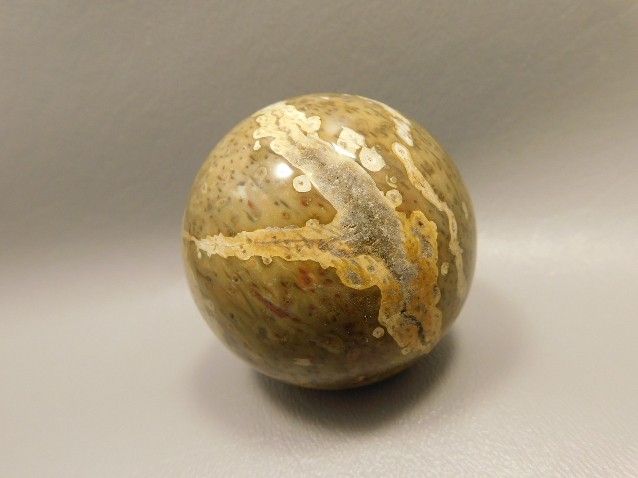 Petrified Palm Wood Sphere 2.2 inch Stone Fossil Indonesia #O28