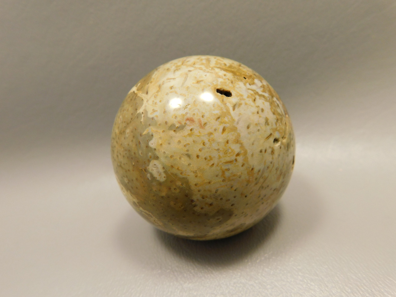Petrified Palm Wood Sphere 2.2 inch Stone Fossil Indonesia #O28