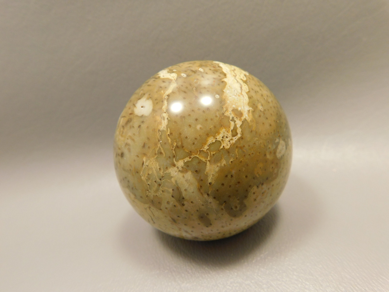 Petrified Palm Wood Sphere 2.2 inch Stone Fossil Indonesia #O28