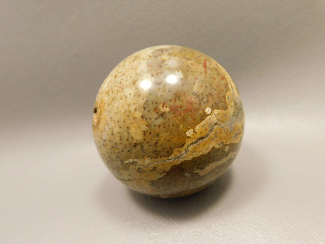 Petrified Palm Wood Sphere 2.2 inch Stone Fossil Indonesia #O28