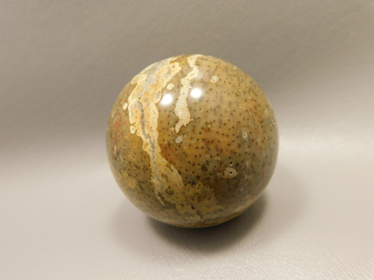 Petrified Palm Wood Sphere 2.2 inch Stone Fossil Indonesia #O28