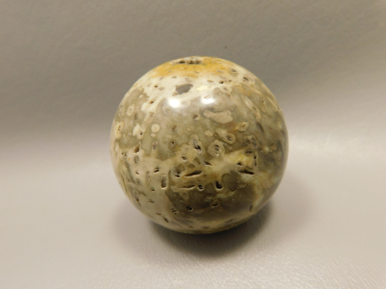 Petrified Palm Wood Sphere 2 inch Stone Fossil Indonesia #O29