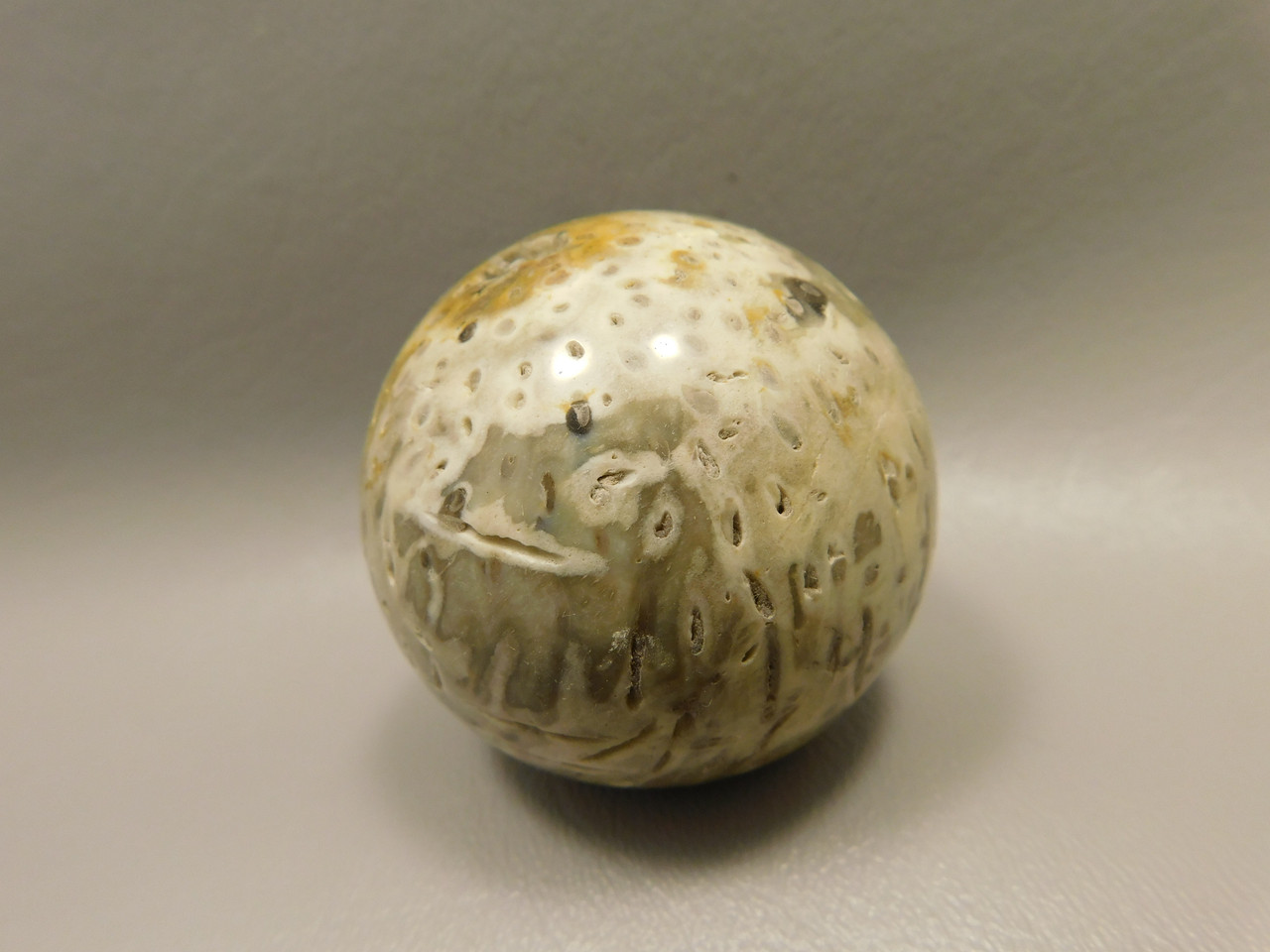 Petrified Palm Wood Sphere 2 inch Stone Fossil Indonesia #O29