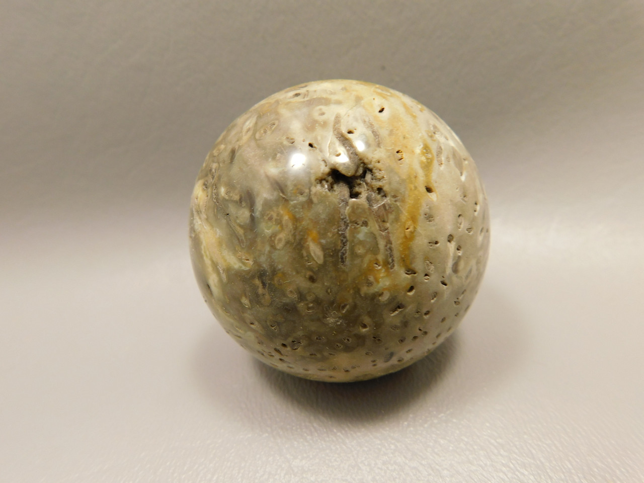 Petrified Palm Wood Sphere 2 inch Stone Fossil Indonesia #O29