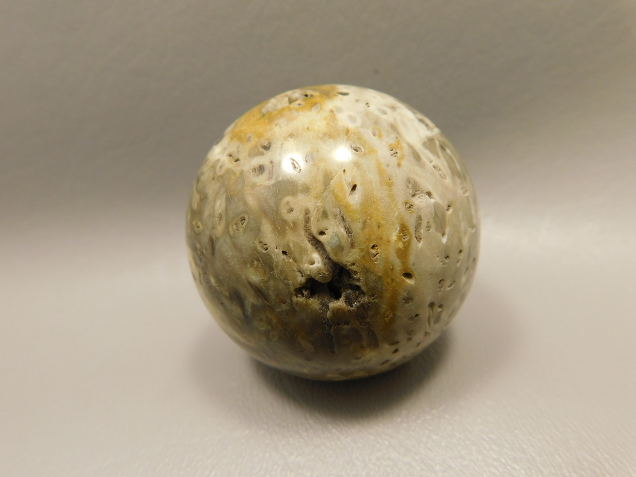 Petrified Palm Wood Sphere 2 inch Stone Fossil Indonesia #O29