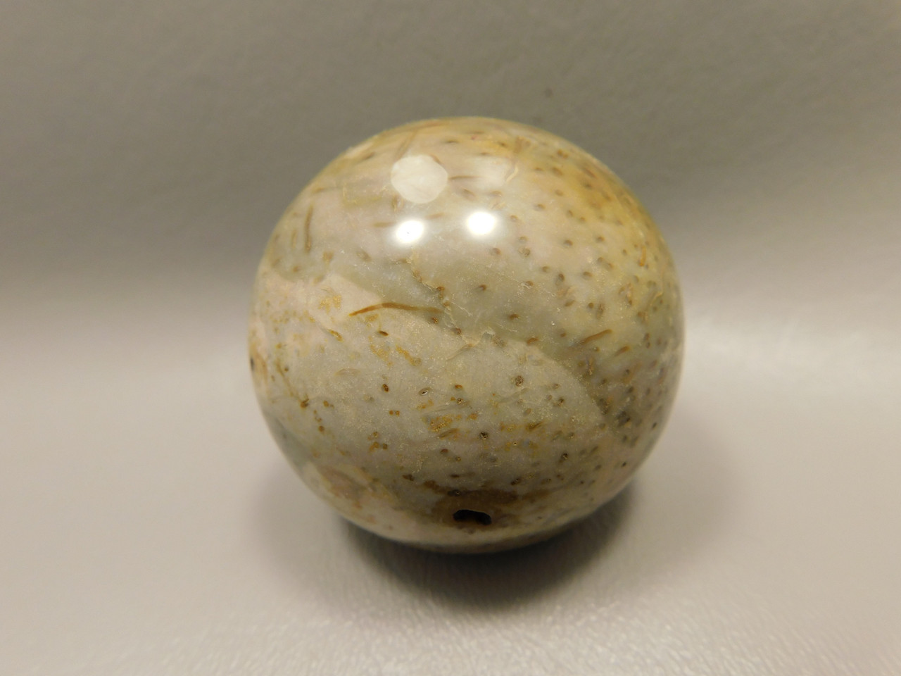 Petrified Palm Wood Sphere 2 inch Stone Fossil Indonesia #O30