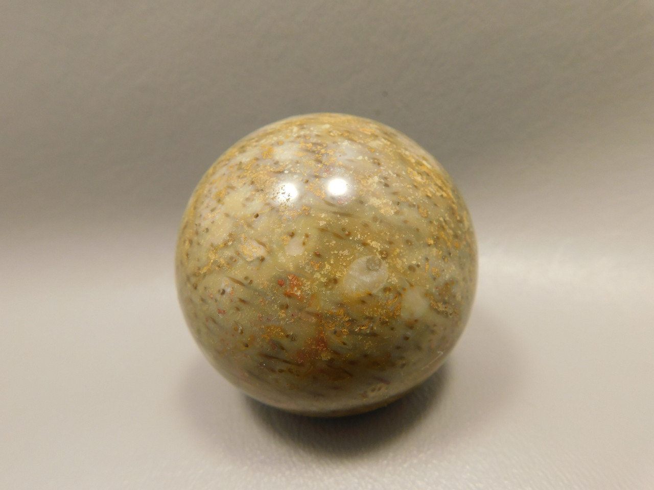 Petrified Palm Wood Sphere 2 inch Stone Fossil Indonesia #O30