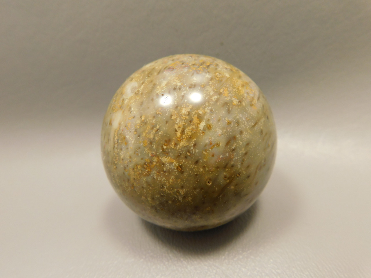 Petrified Palm Wood Sphere 2 inch Stone Fossil Indonesia #O30