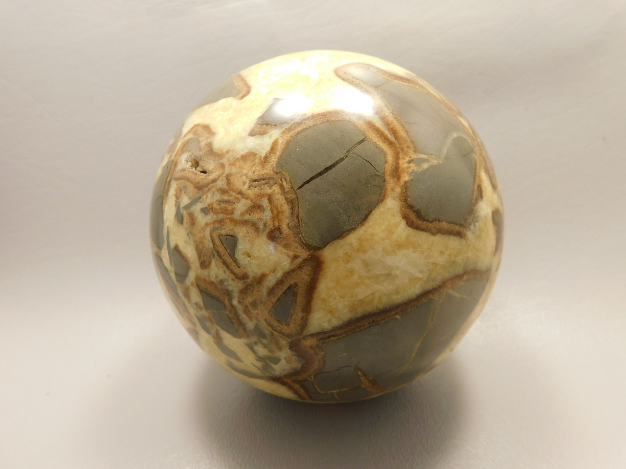 Septarian Nodule Stone 4 inch Sphere Ball Polished Rock Utah #OL1