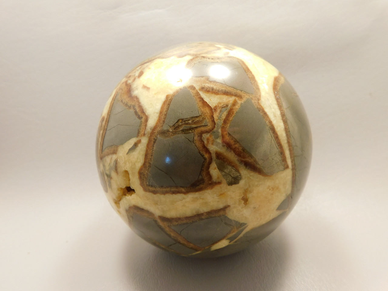 Septarian Nodule Stone 4 inch Sphere Ball Polished Rock Utah #OL1
