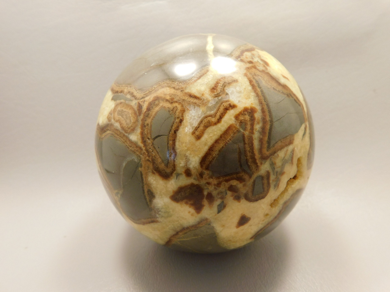 Septarian Nodule Stone 4 inch Sphere Ball Polished Rock Utah #OL1