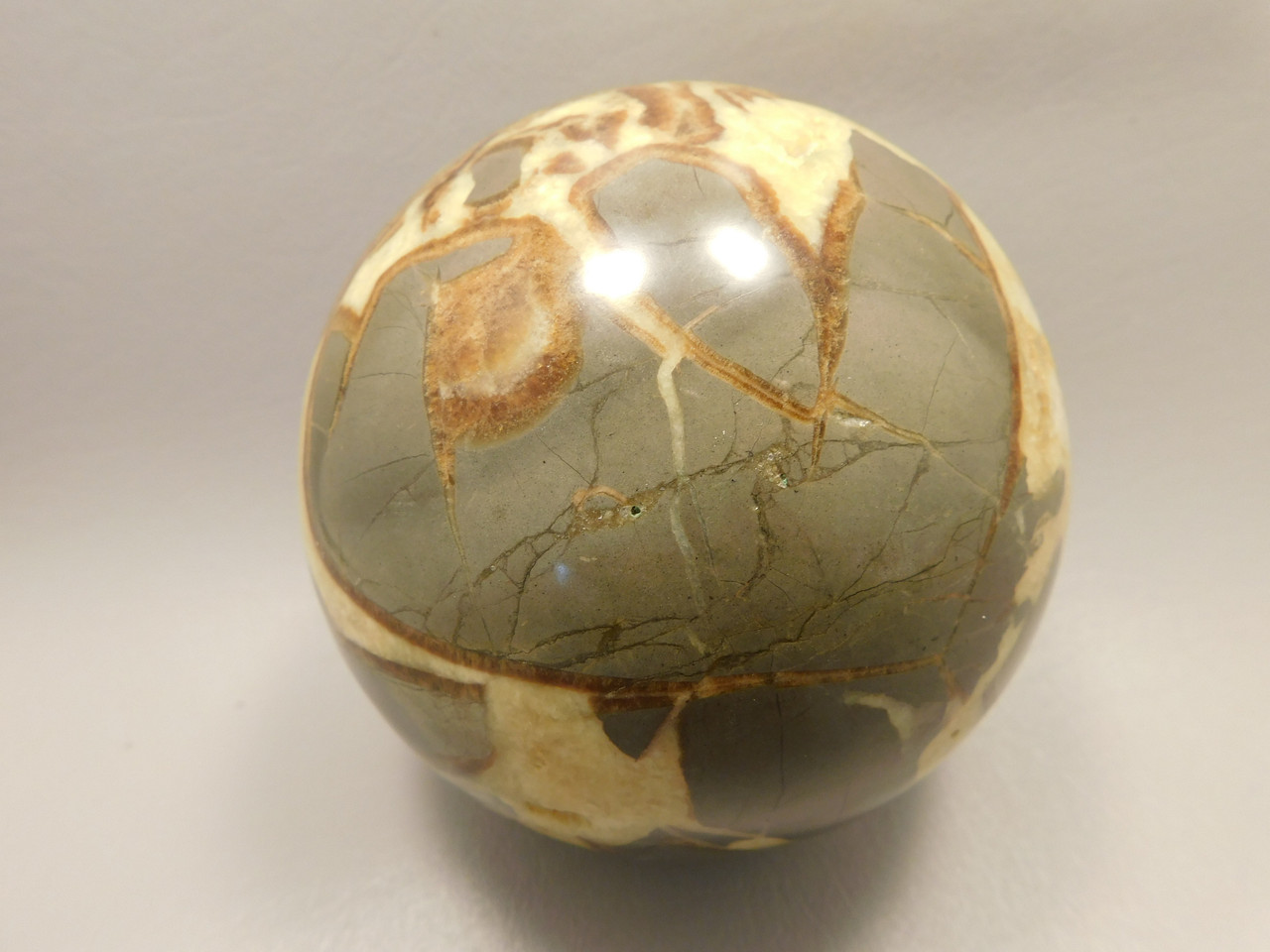 Septarian Nodule Stone 4 inch Sphere Ball Polished Rock Utah #OL1
