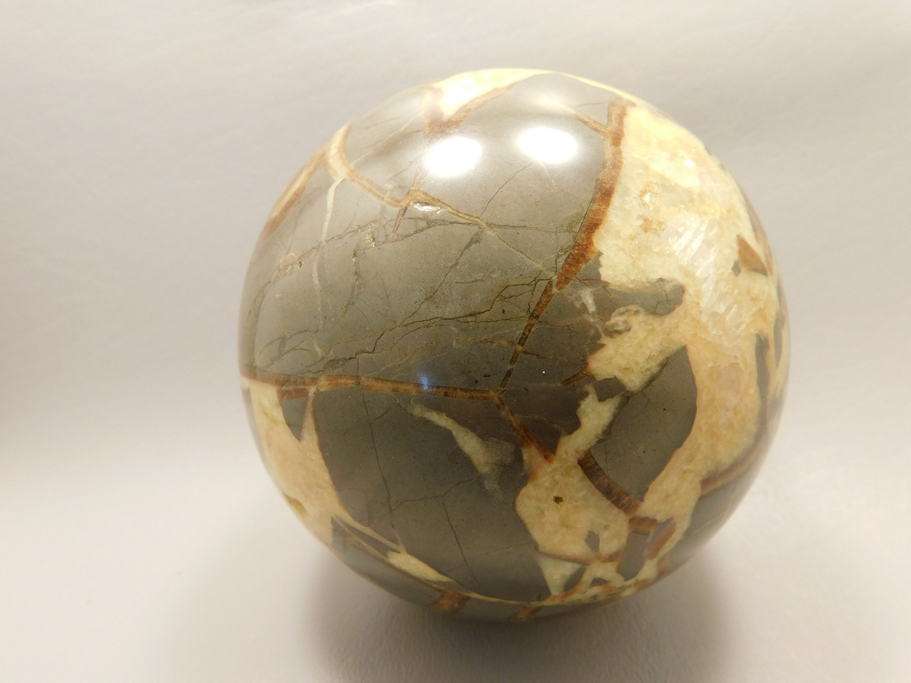 Septarian Nodule Stone 4 inch Sphere Ball Polished Rock Utah #OL1