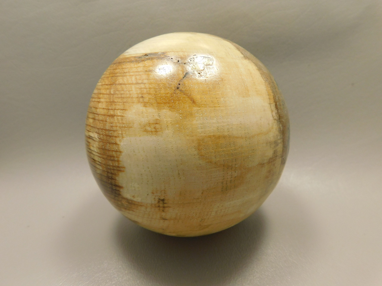 Petrified Wood Golden Oak 4 inch Stone Sphere Fossil Oregon #Og1L2