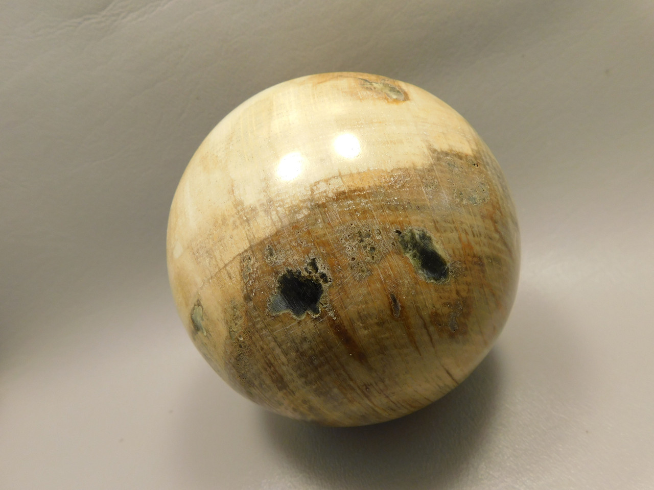 Petrified Wood Golden Oak 4 inch Stone Sphere Fossil Oregon #Og1L2