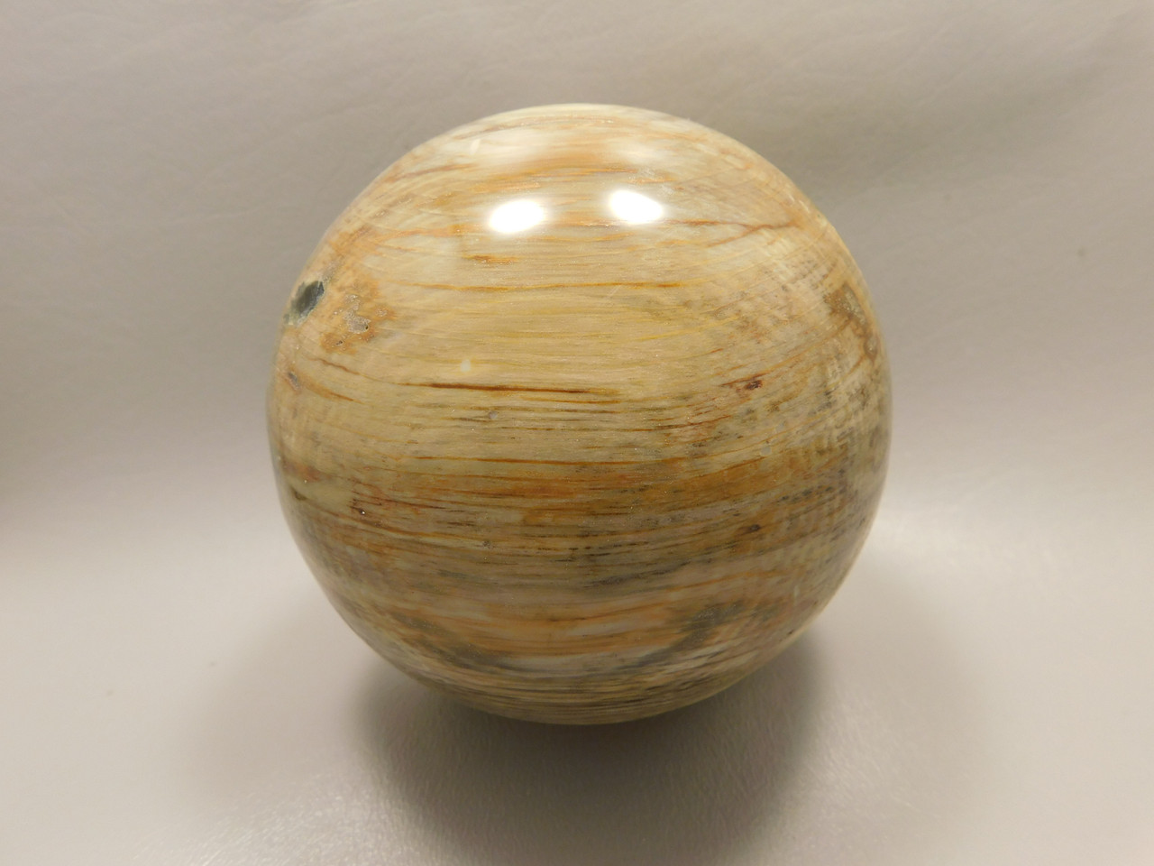 Petrified Wood Golden Oak 4 inch Stone Sphere Fossil Oregon #Og1L2