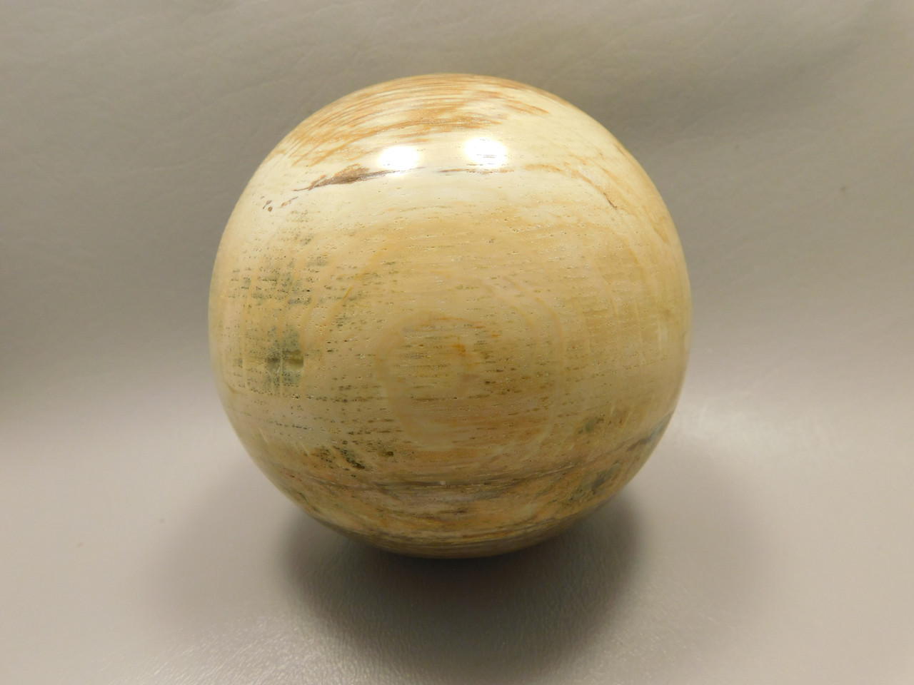 Petrified Wood Golden Oak 4 inch Stone Sphere Fossil Oregon #Og1L2