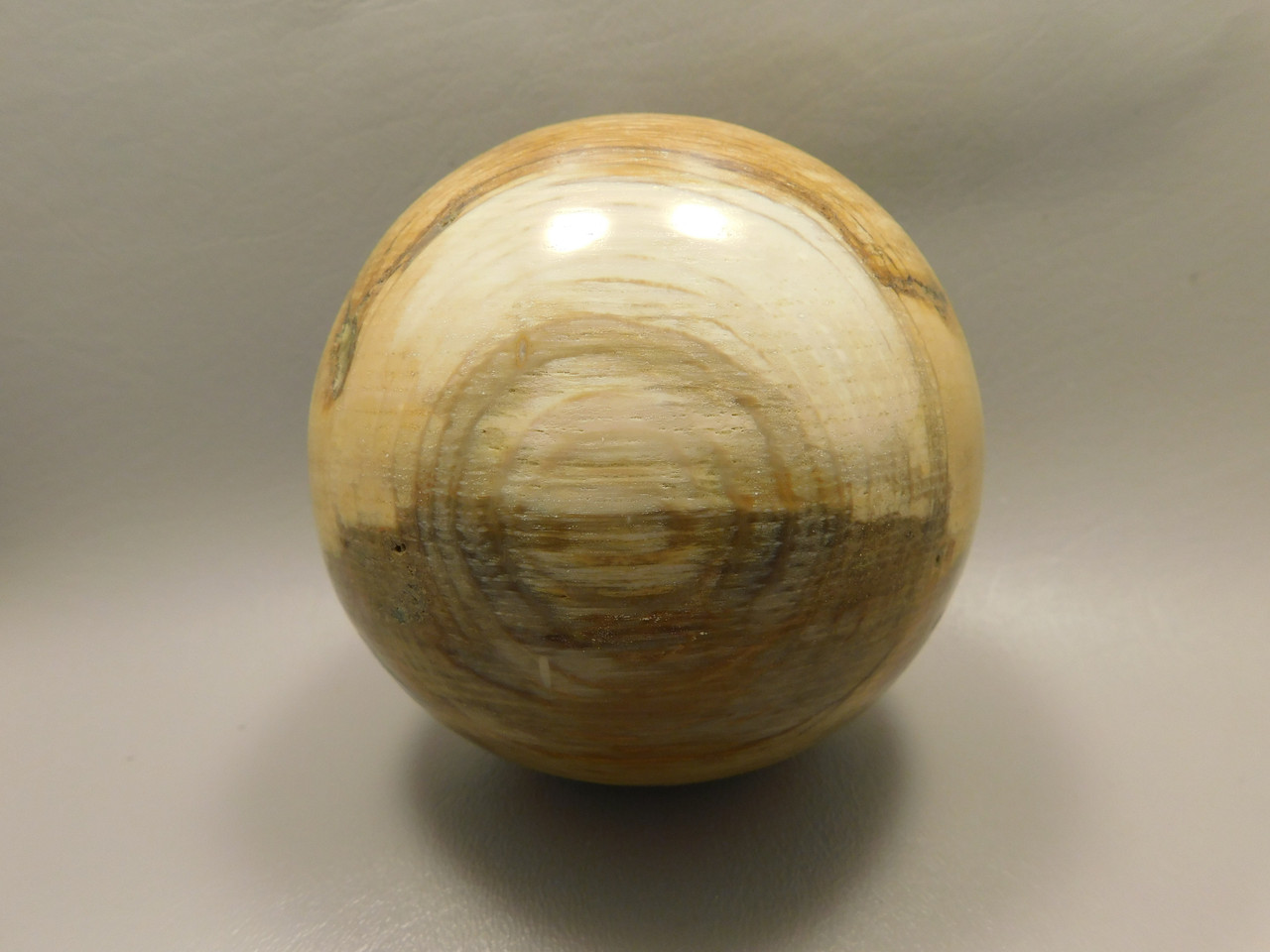 Petrified Wood Golden Oak 4 inch Stone Sphere Fossil Oregon #Og1L2