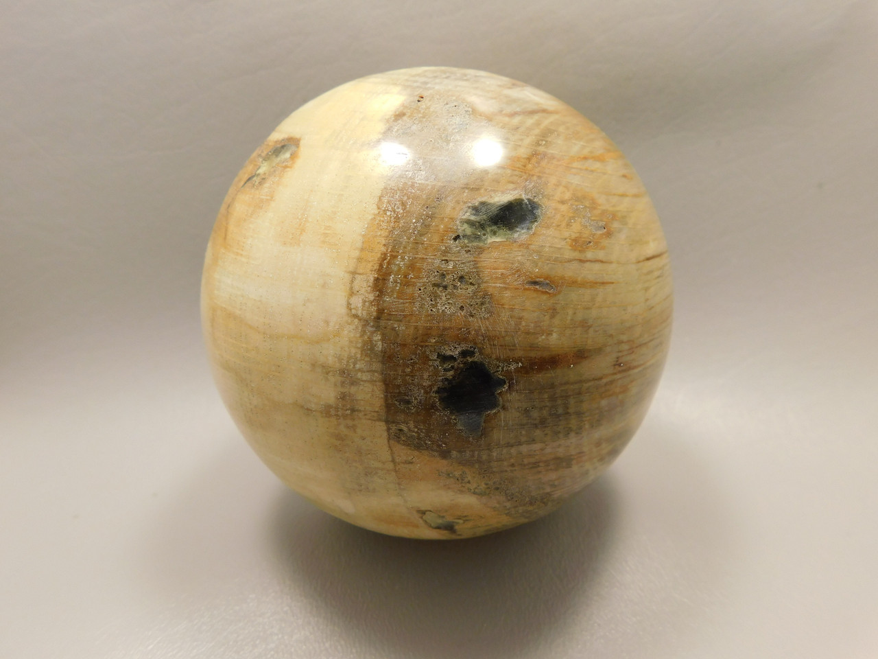 Petrified Wood Golden Oak 4 inch Stone Sphere Fossil Oregon #Og1L2