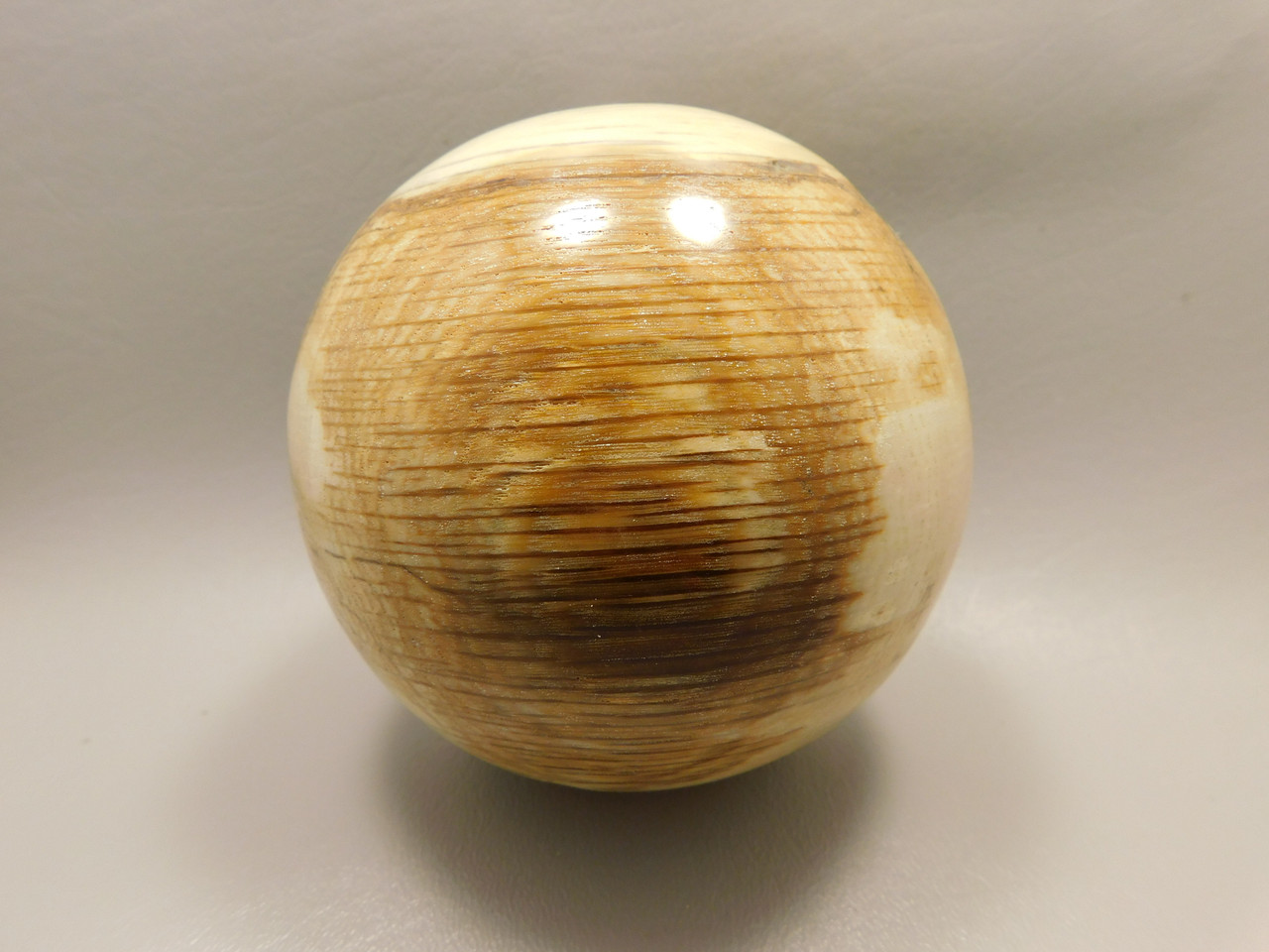 Petrified Wood Golden Oak 4 inch Stone Sphere Fossil Oregon #Og1L2