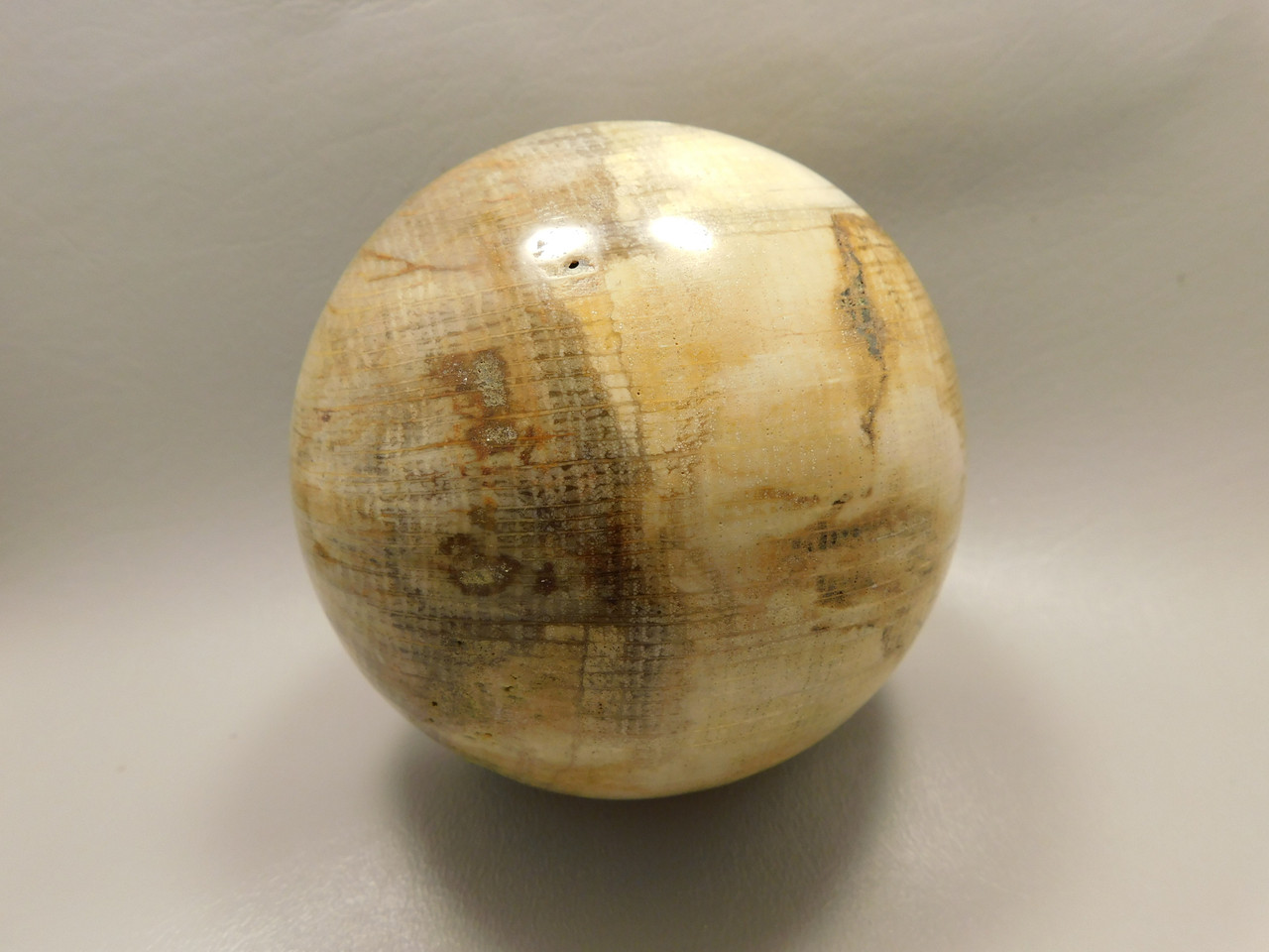 Petrified Wood Golden Oak 4 inch Stone Sphere Fossil Oregon #Og1L2
