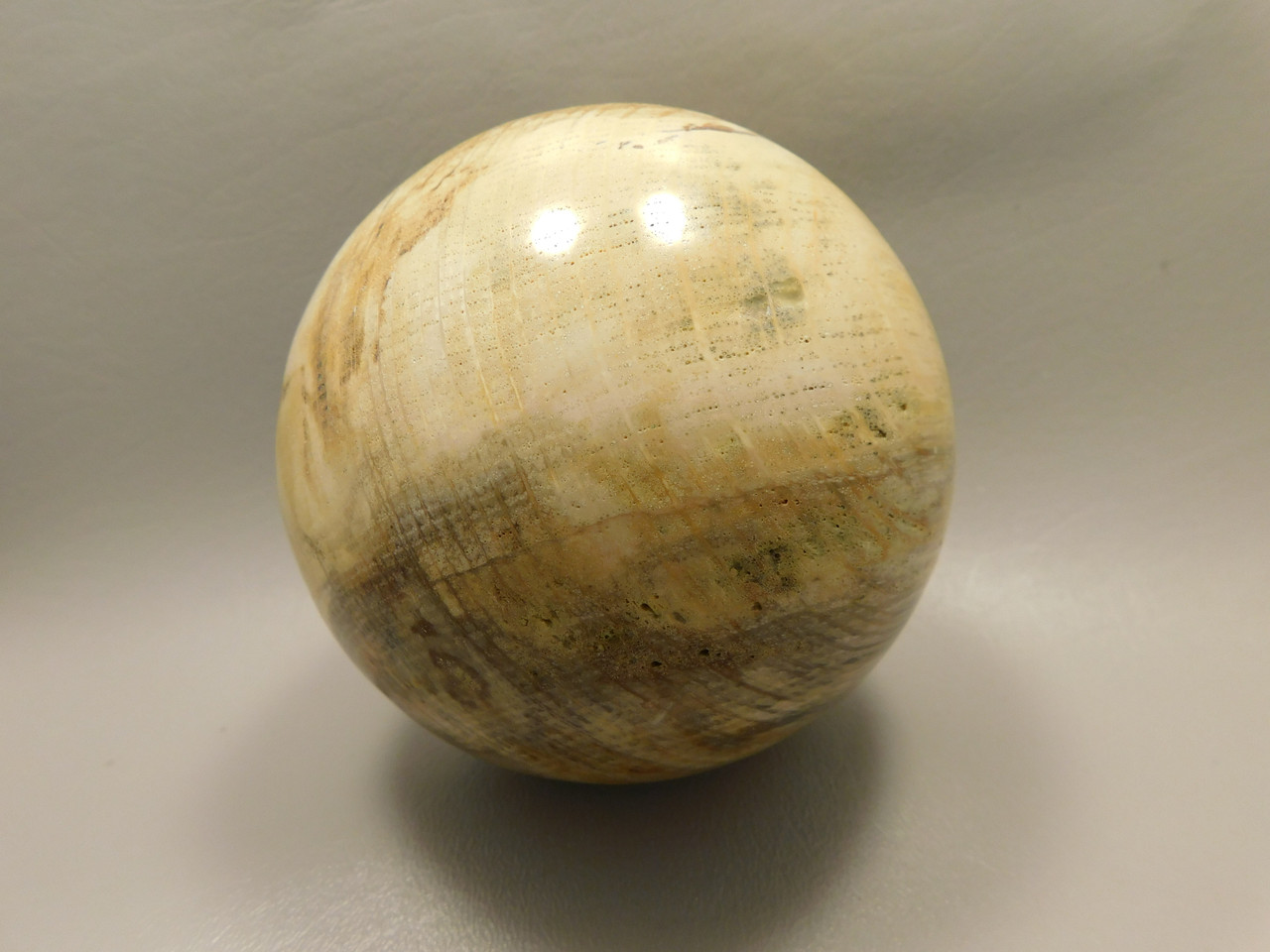 Petrified Wood Golden Oak 4 inch Stone Sphere Fossil Oregon #Og1L2