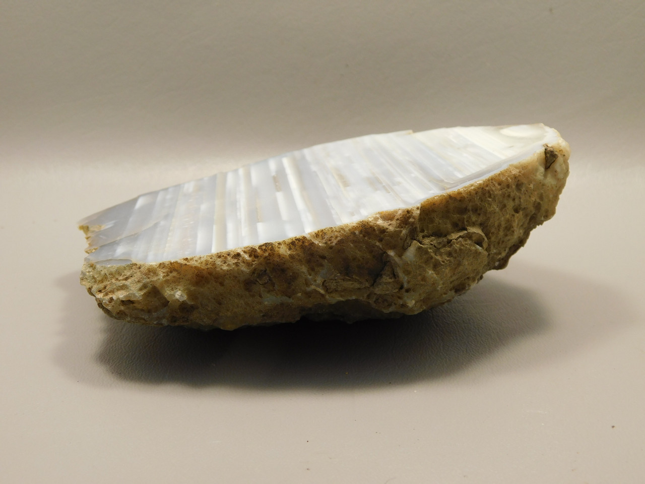 Agate Polished Waterline Stone Collector Rock Idaho #O2