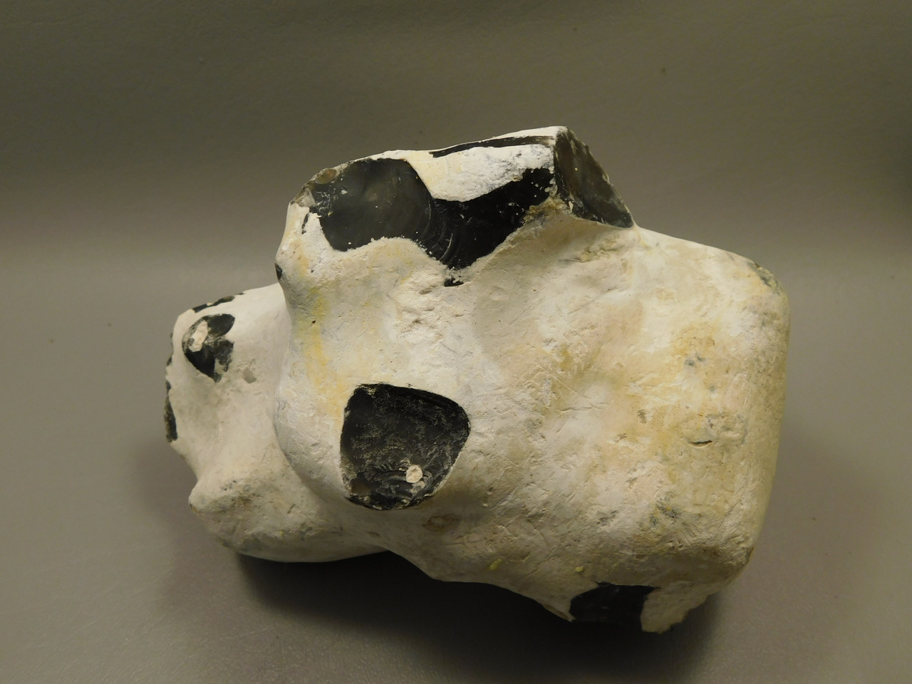 English Flint with Cortex Lapidary Stone Rough Rock England #O1