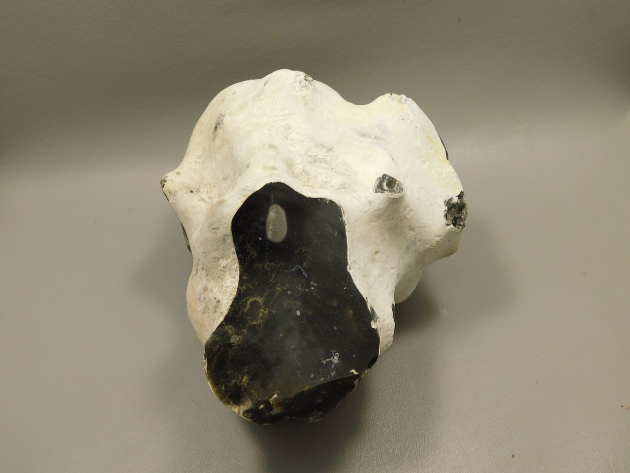 English Flint with Cortex Lapidary Stone Rough Rock England #O1