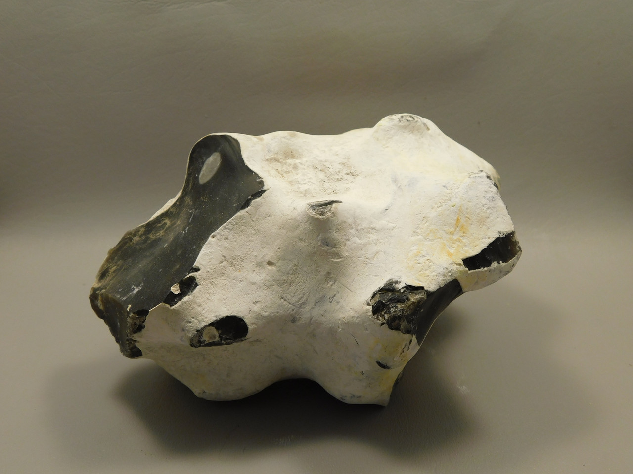 English Flint with Cortex Lapidary Stone Rough Rock England #O1
