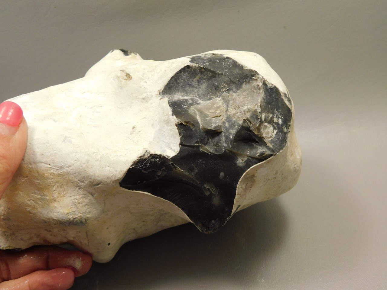 English Flint with Cortex Lapidary Stone Rough Rock England #O1