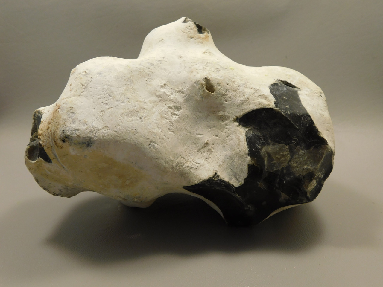 English Flint with Cortex Lapidary Stone Rough Rock England #O1