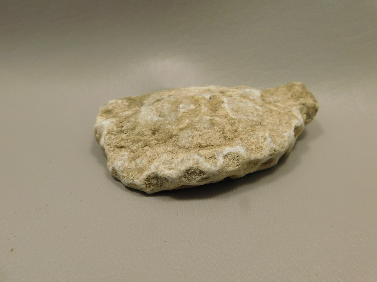 Petoskey Stone Unpolished Rough Rock Fossil Michigan #O1