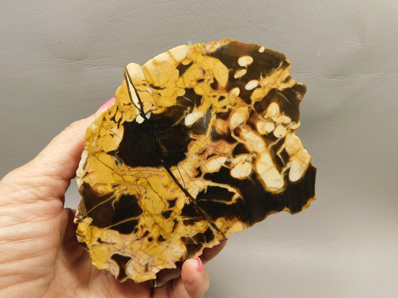 Petrified Peanut Wood Fossil .94 lbs. Lapidary Rough Rock #O11