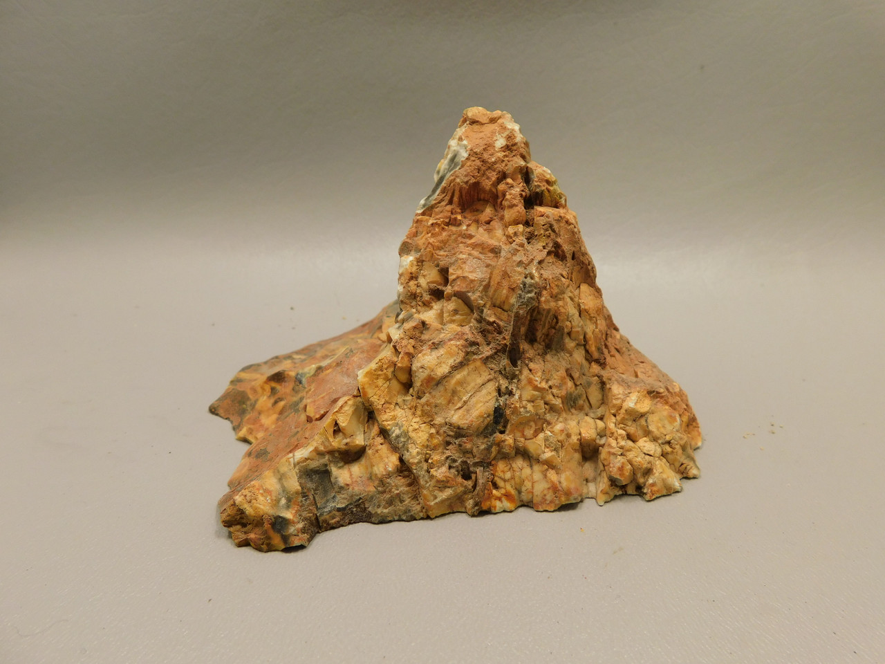 Petrified Peanut Wood Fossil .94 lbs. Lapidary Rough Rock #O11