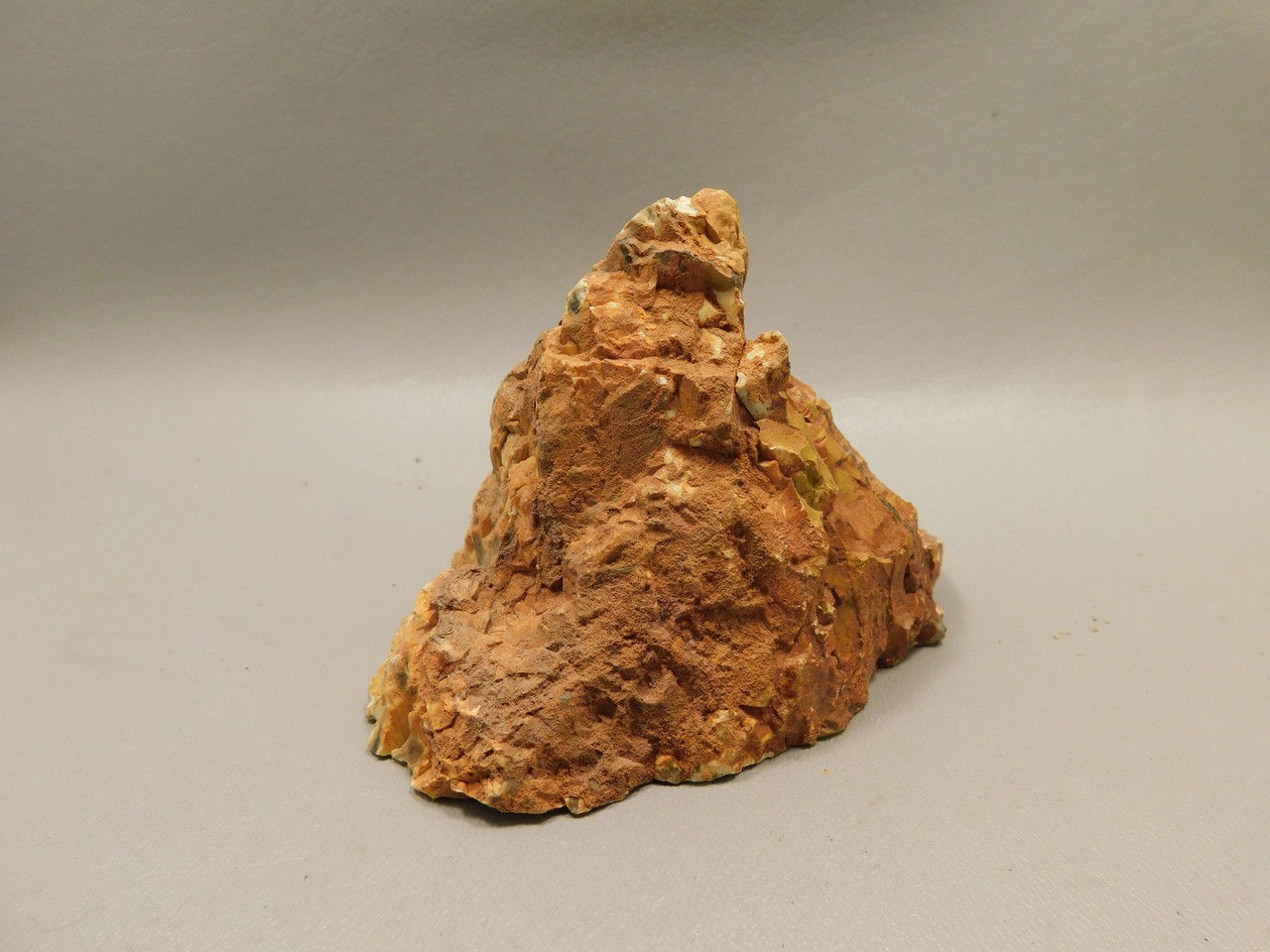 Petrified Peanut Wood Fossil .94 lbs. Lapidary Rough Rock #O11