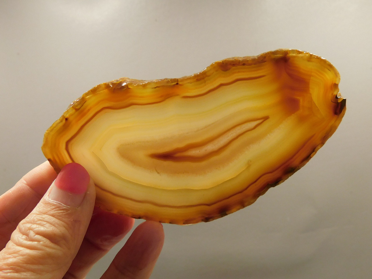 Brazilian Piranha Agate Stone Slab Lapidary Rough Rock #O4