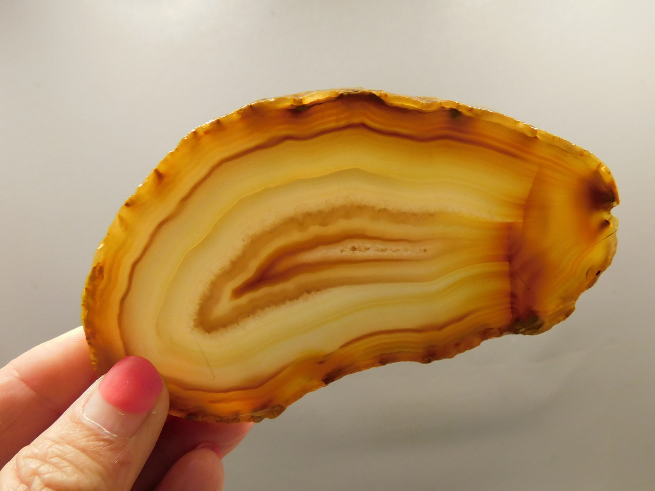 Brazilian Piranha Agate Stone Slab Lapidary Rough Rock #O4