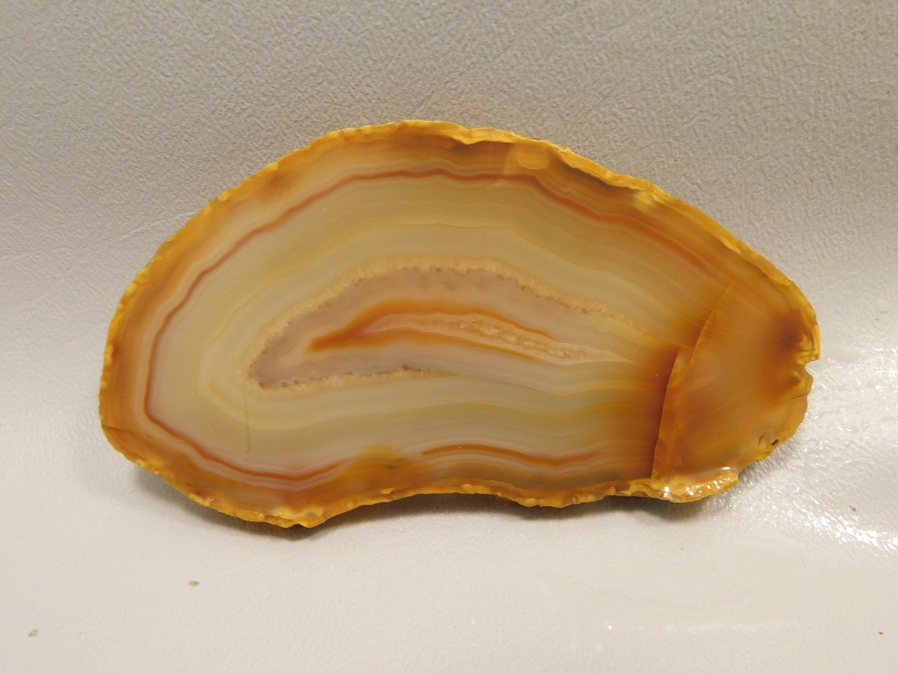 Brazilian Piranha Agate Stone Slab Lapidary Rough Rock #O4