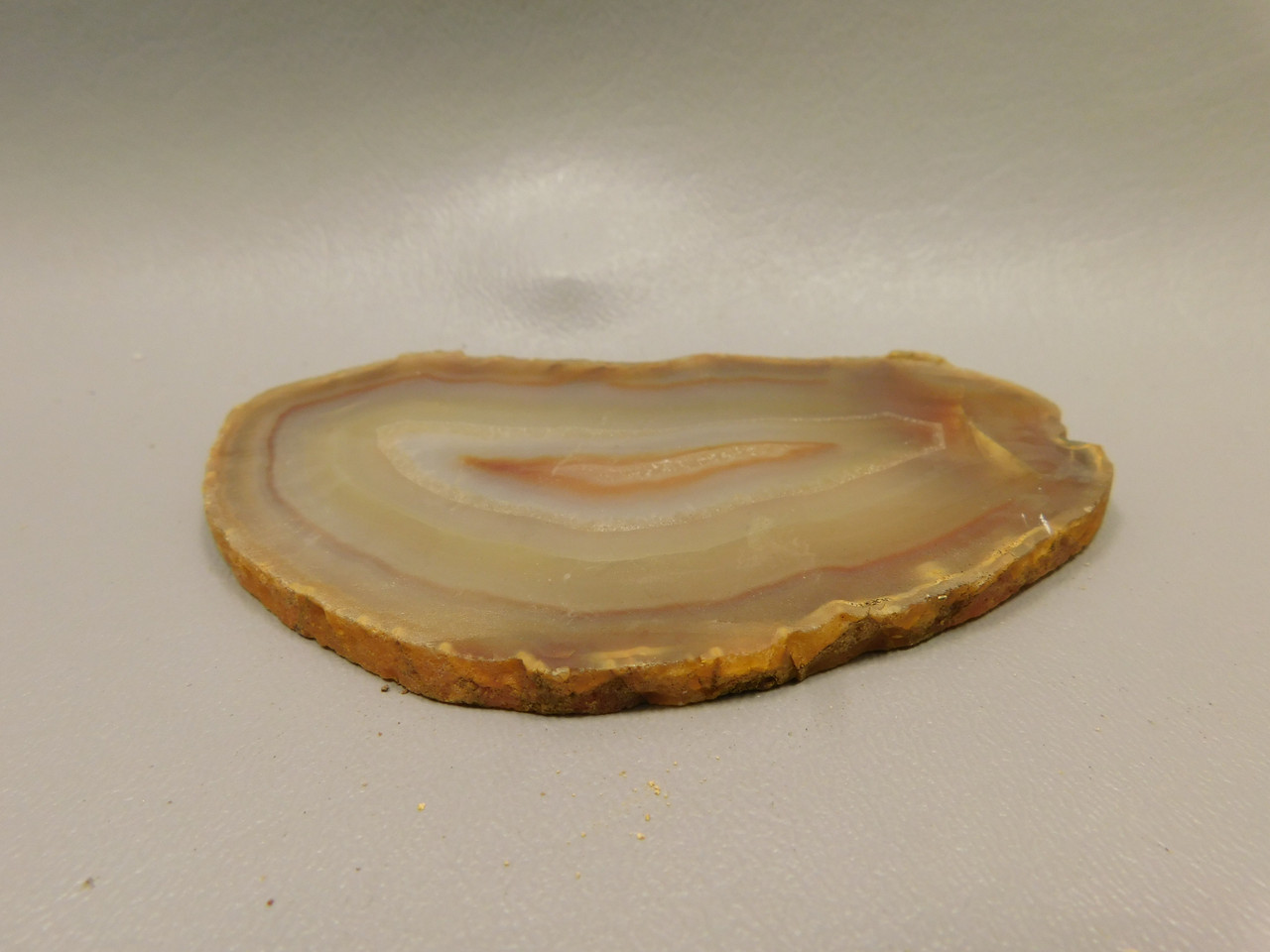 Brazilian Piranha Agate Stone Slab Lapidary Rough Rock #O4