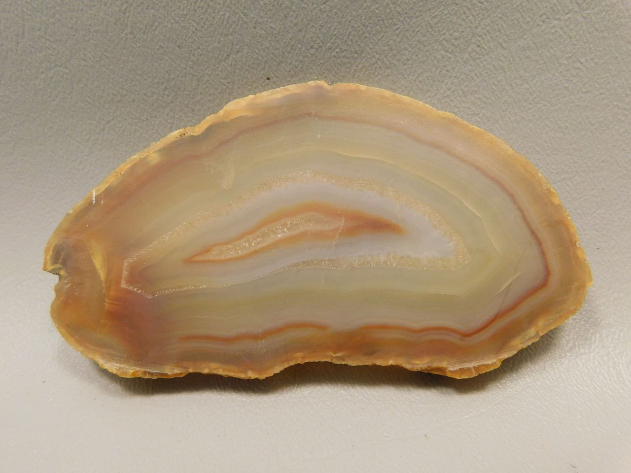 Brazilian Piranha Agate Stone Slab Lapidary Rough Rock #O4